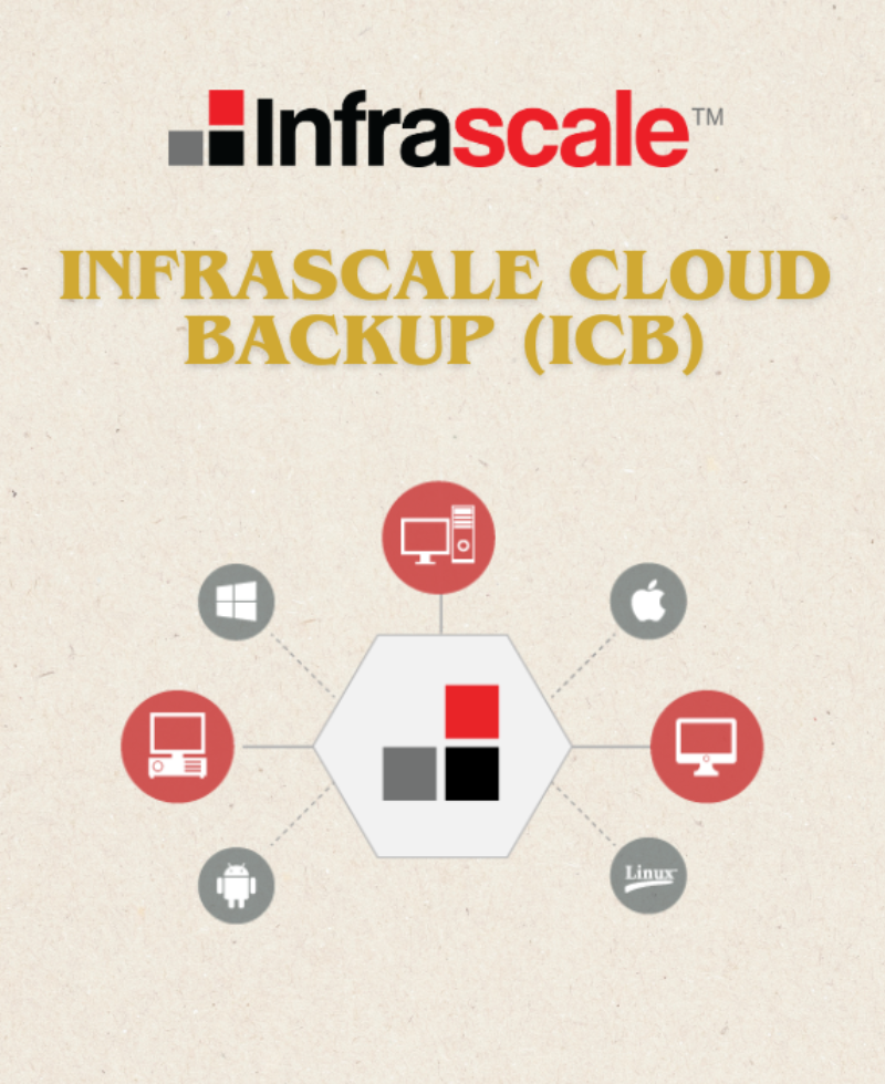 Infrascale – ICB